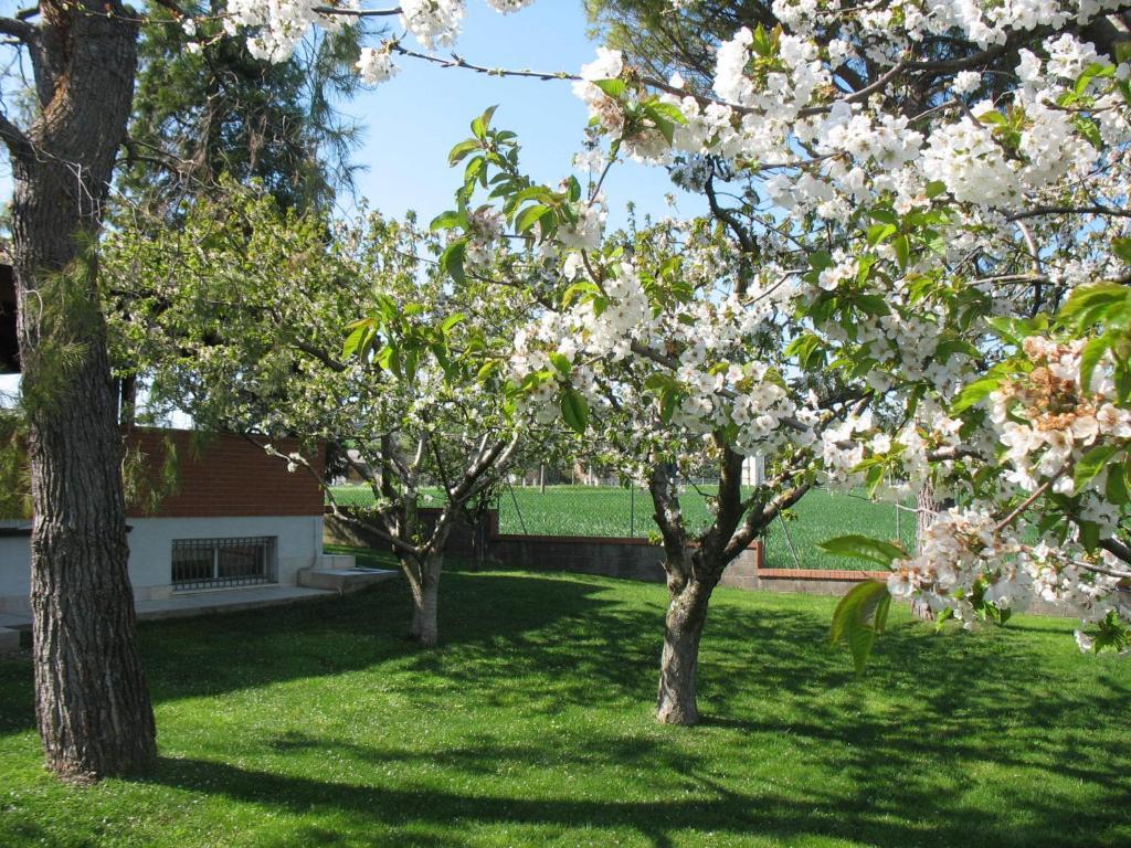 Bed & Breakfast Bompadre Civitanova Marche Exterior photo